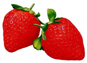 牙齿美白小贴士