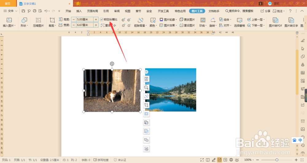 Word如何让两张图片在不裁剪的情况下宽高相同