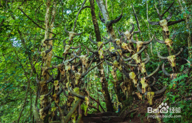 普洱游玩必去的几个地方？