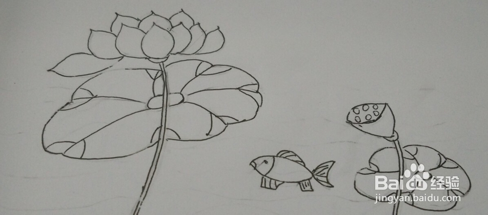 油画棒画【荷花】简单教程