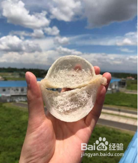 燕窝真假鉴别方法