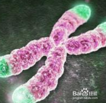 揭秘保养卵巢吃什么食物最好