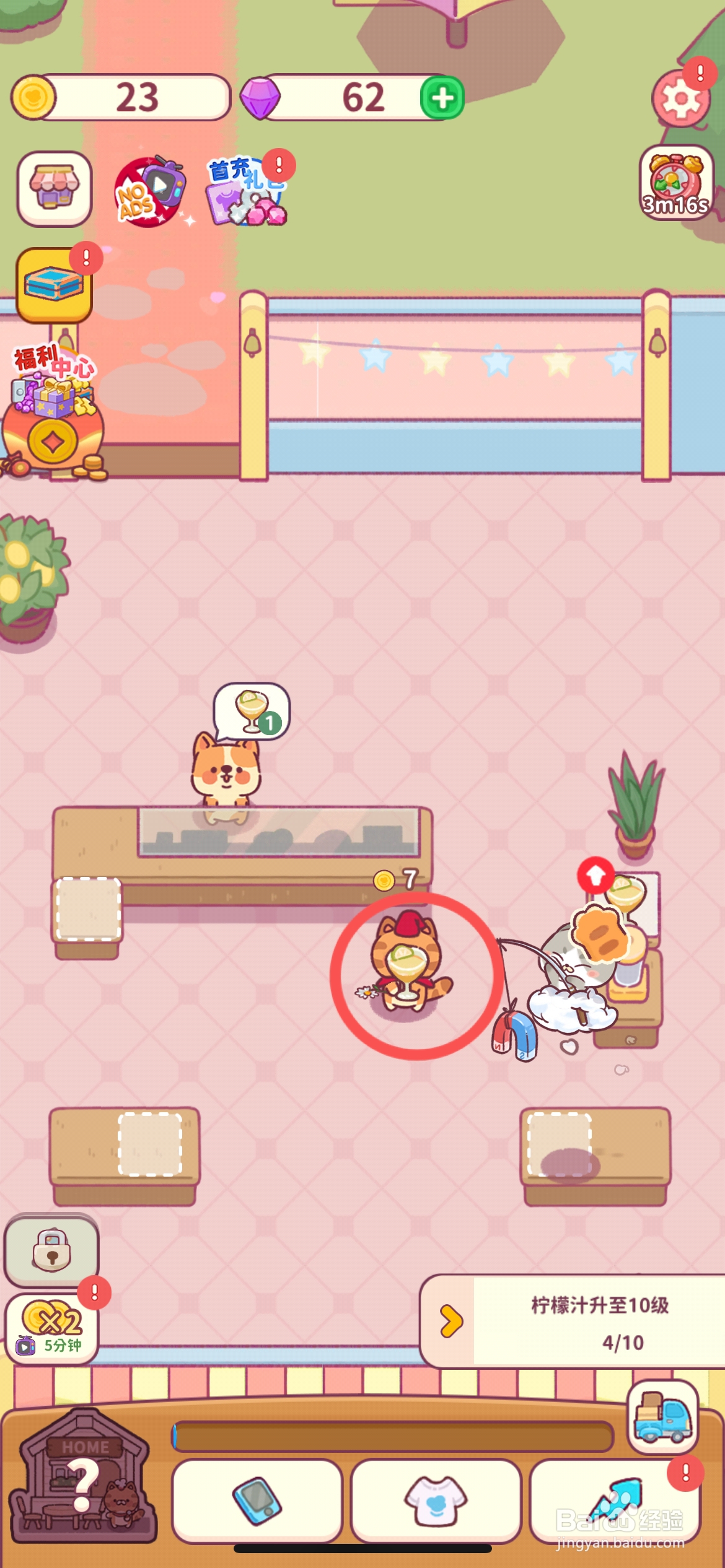 食物归类者怎么给猫咪穿戴小红帽围巾