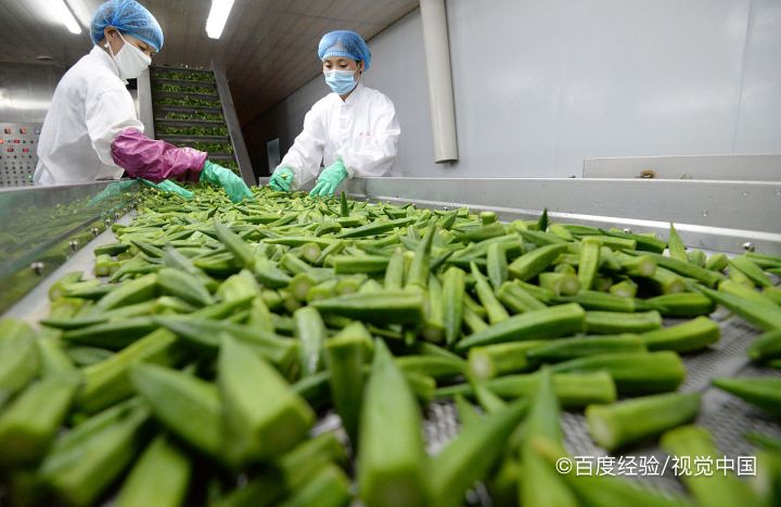 秋葵吃不完怎么储存