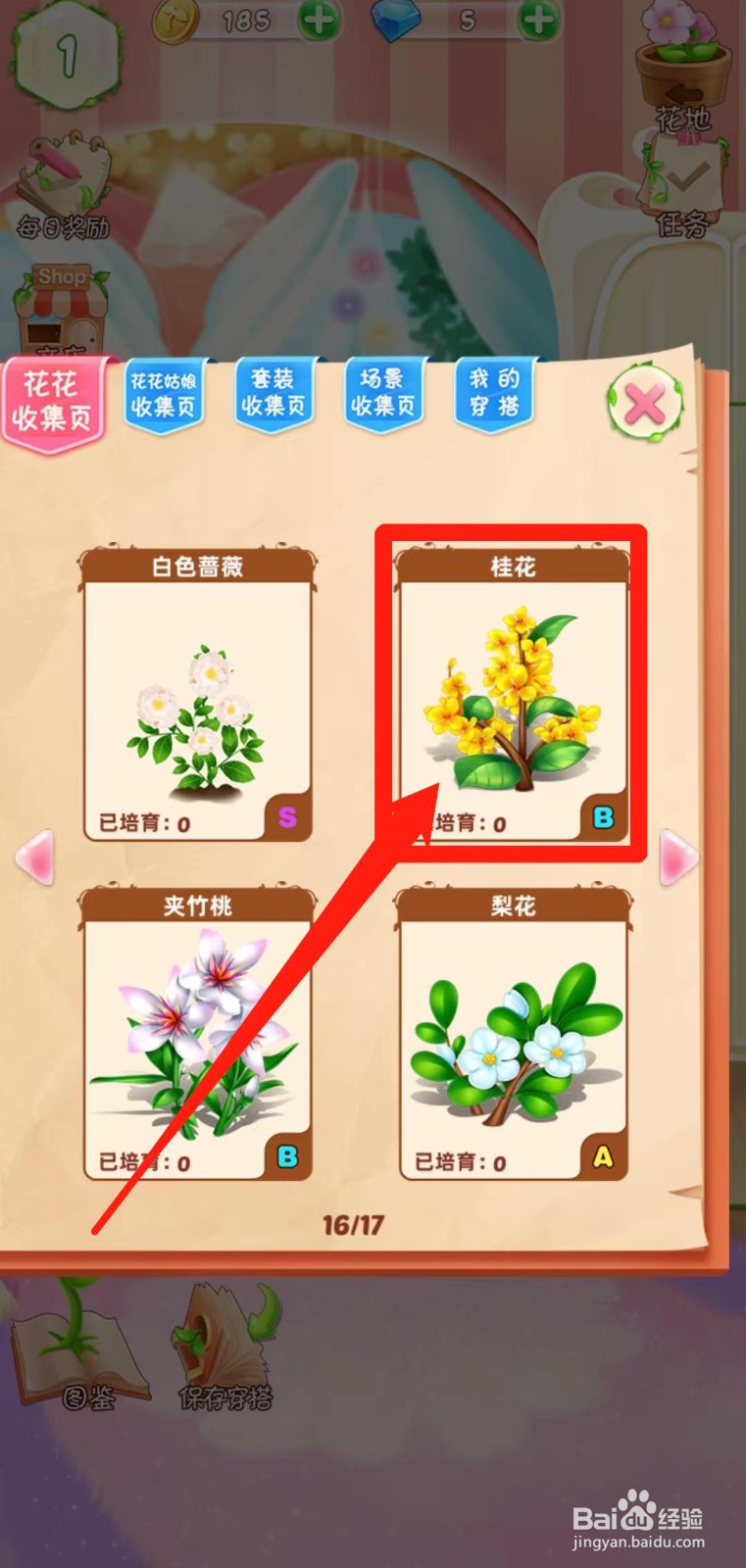 花花姑娘之魔法花园如何查看桂花稀有度