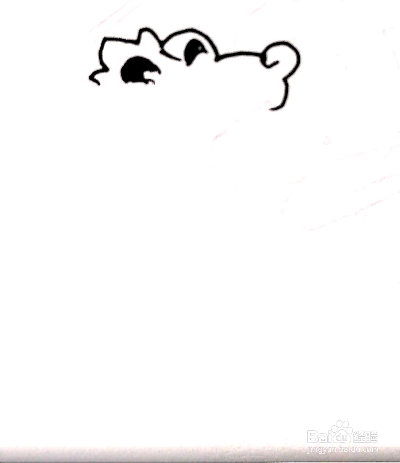动物园里的小飞鼠简笔画