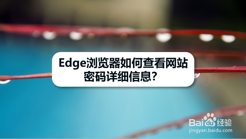 Edge浏览器如何查看网站密码详细信息
