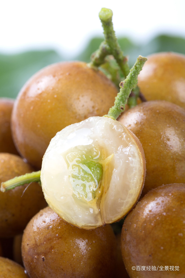 哺乳期、宝宝能吃黄皮吗