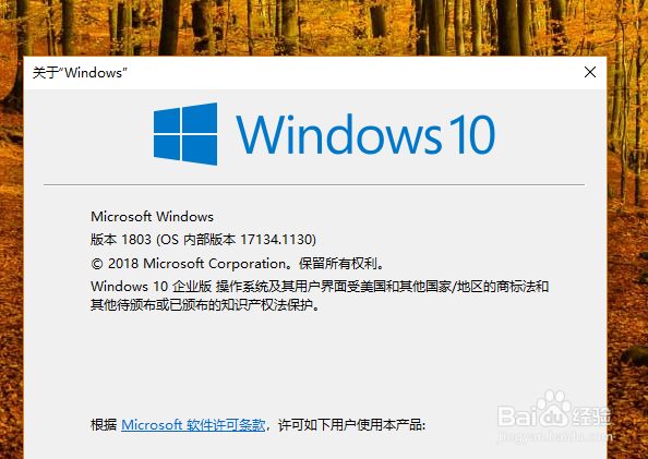 如何查看win10系统版本