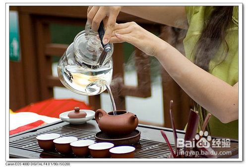 怎样泡出一壶普洱茶