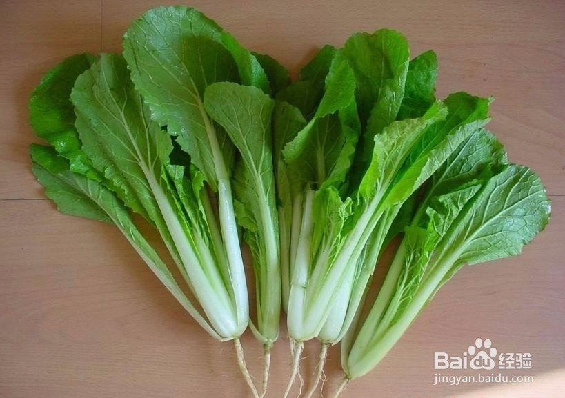 阳台上种植白菜的具体步骤