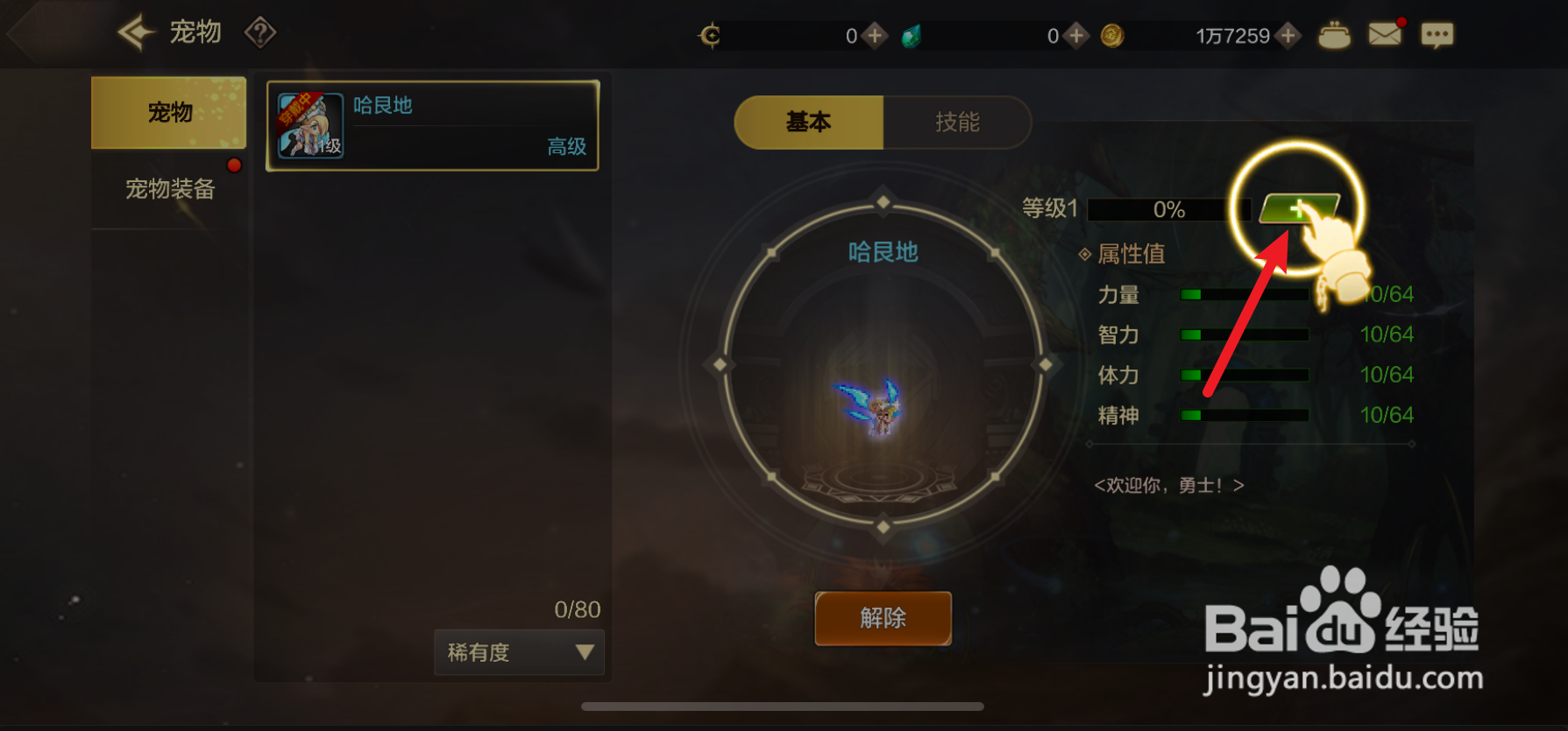 dnf手游怎么给宠物喂养零食