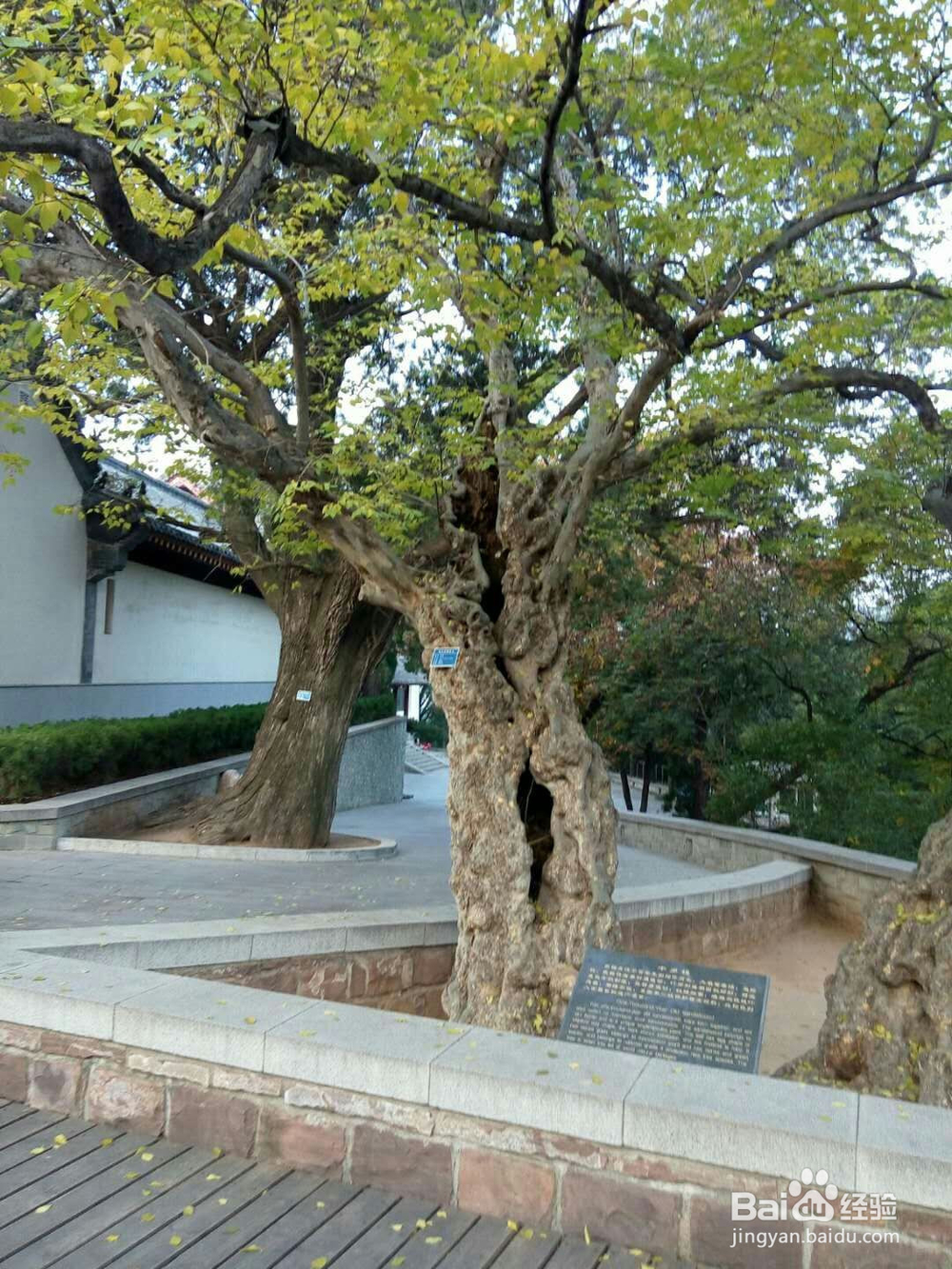 雄伟壮观的,灵岩寺塔景