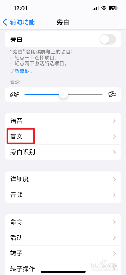 在iPhone中怎么设置旁白盲文