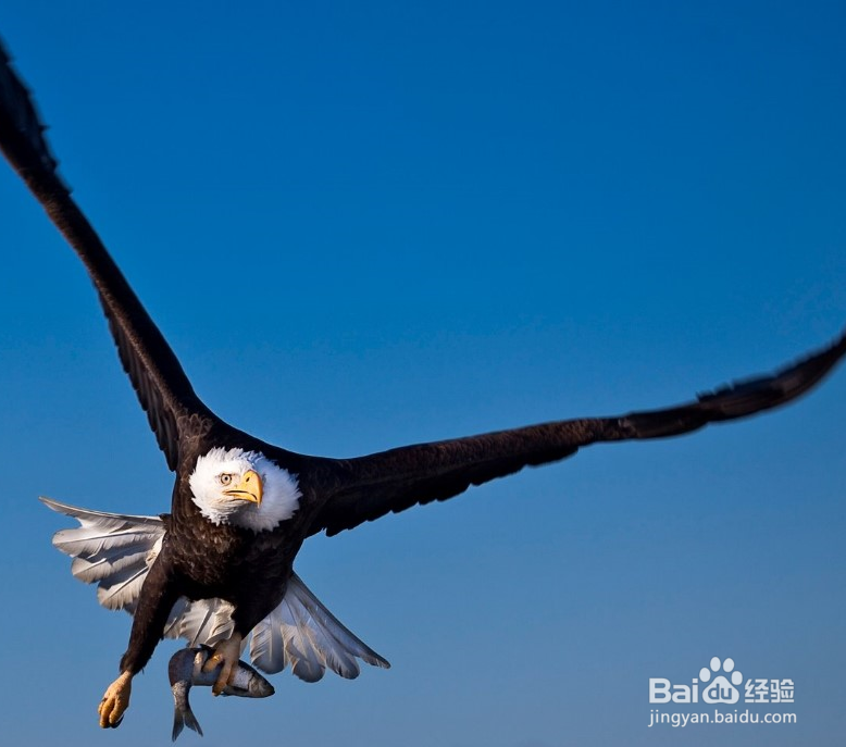 设置Windows系统屏幕保护程序启动等待时间
