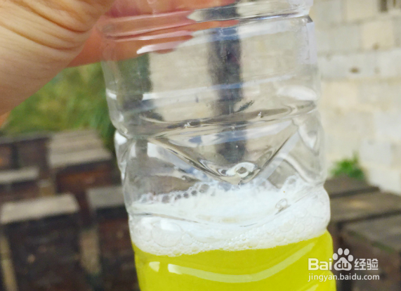 怎样辨别真假蜂蜜