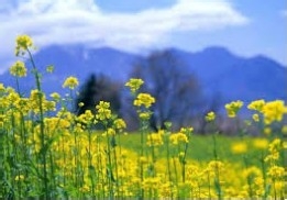 怎样能够得到别人信任