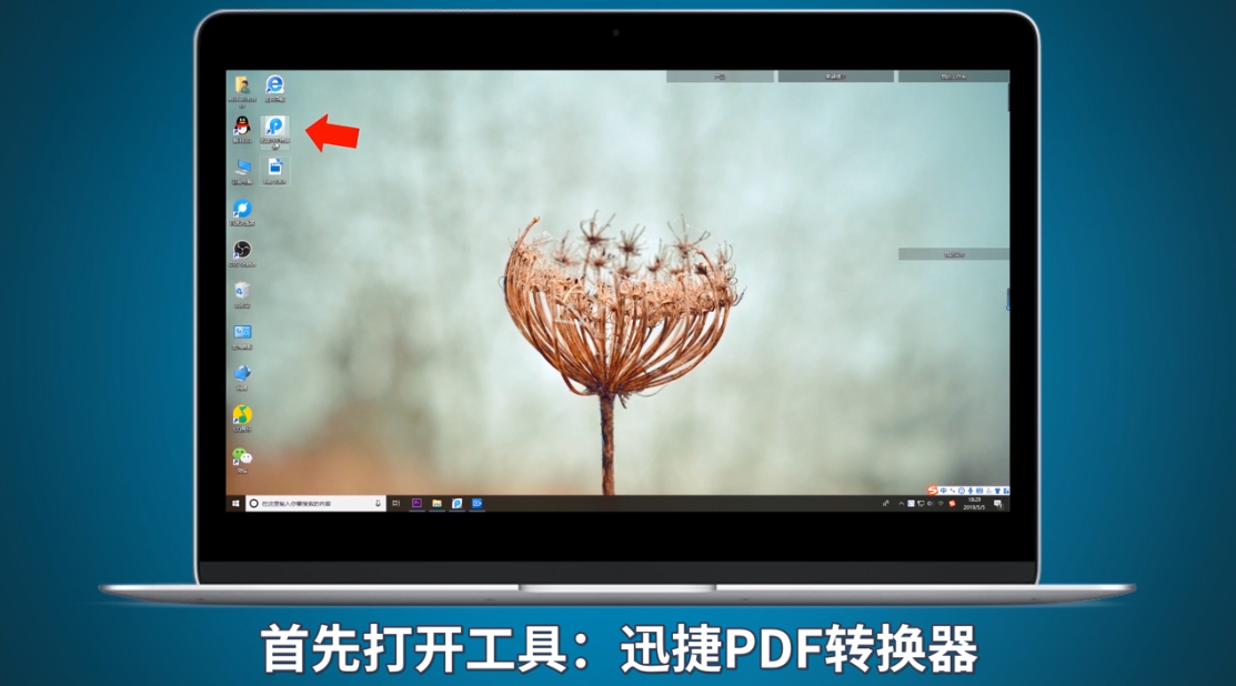 如何解除PDF文件的密码
