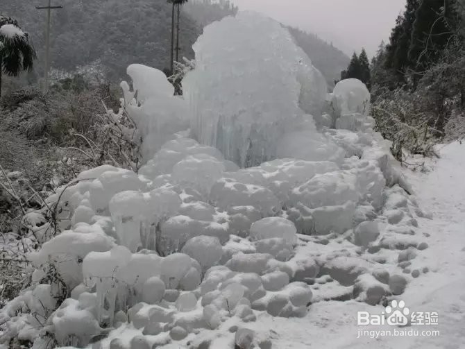 在难熬的日子里来一份心灵鸡汤