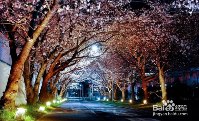 拍照如何增加画面空间感?