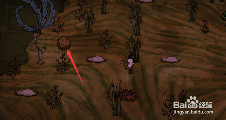 饥荒哈姆雷特：获取石块的几种途径