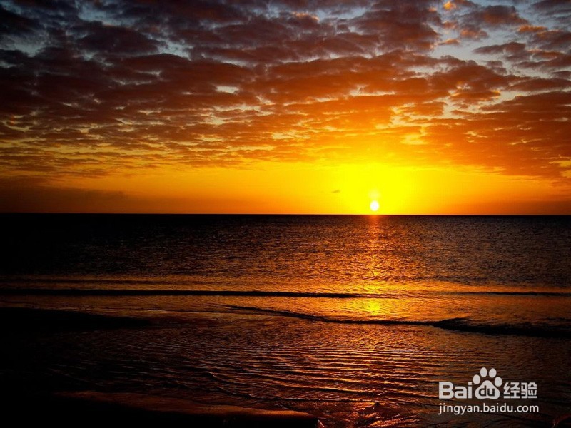 如何预防H5N6禽流感？【重要】