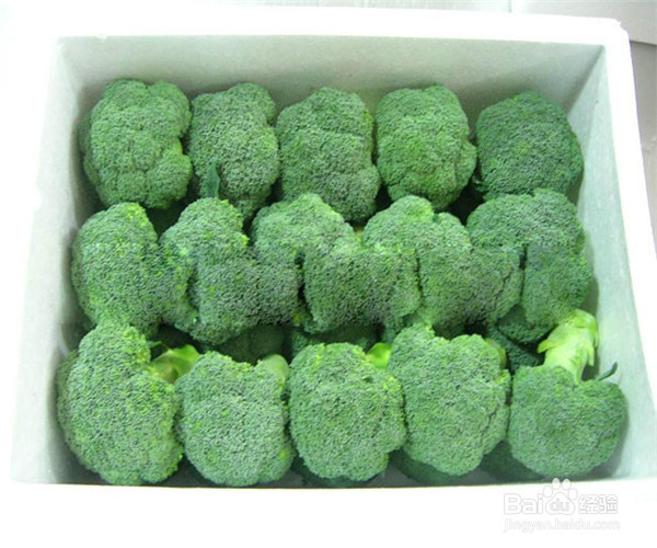 午餐吃哪些食物才算健康的饮食