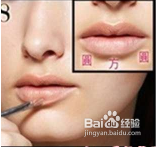 打造欧美性感M型美唇