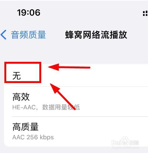 iPhone14如何设置音频质量为无蜂窝网络流播放