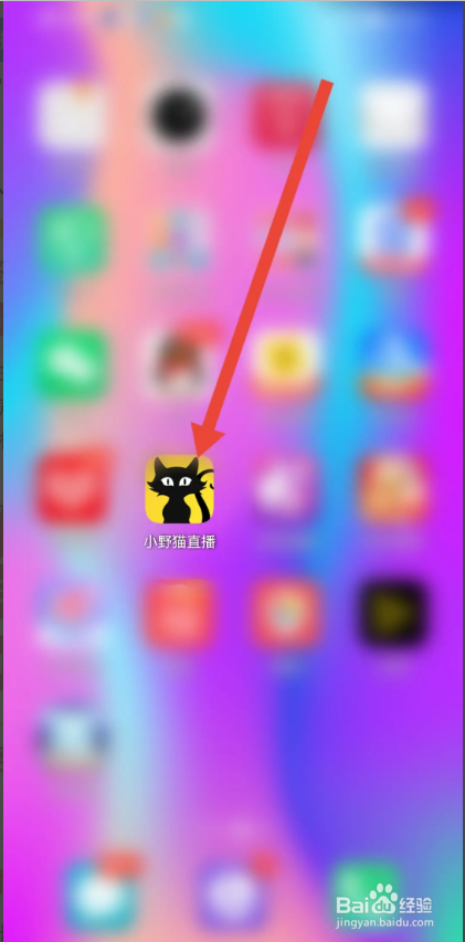 如何使用小野猫直播APP申请成为认证主播