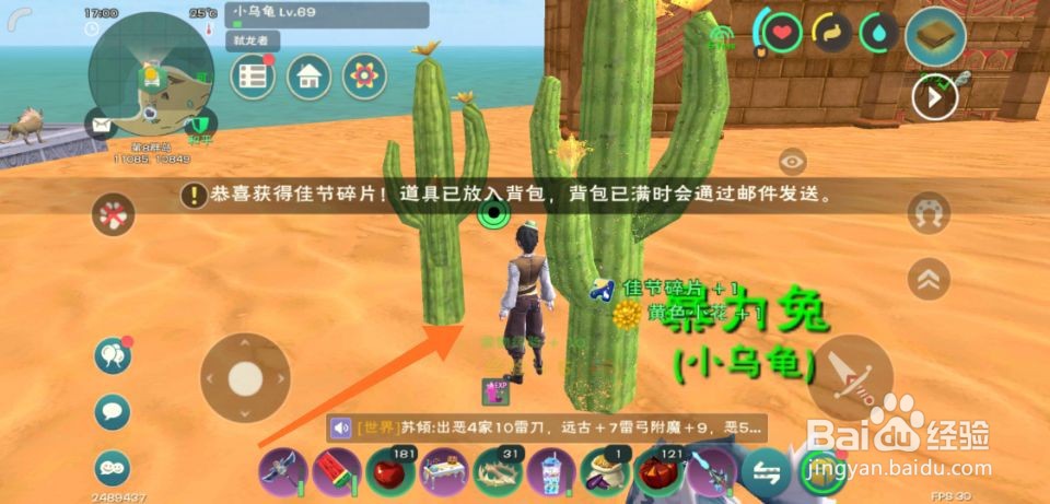 创造与魔法佳节碎片怎么获得