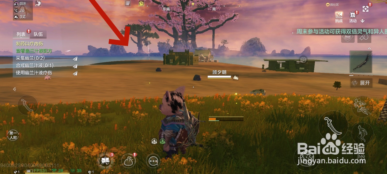 妄想山海游戏中如何找到铁树的教程