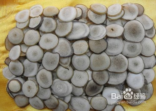 轻松学习鹿茸的食用方法