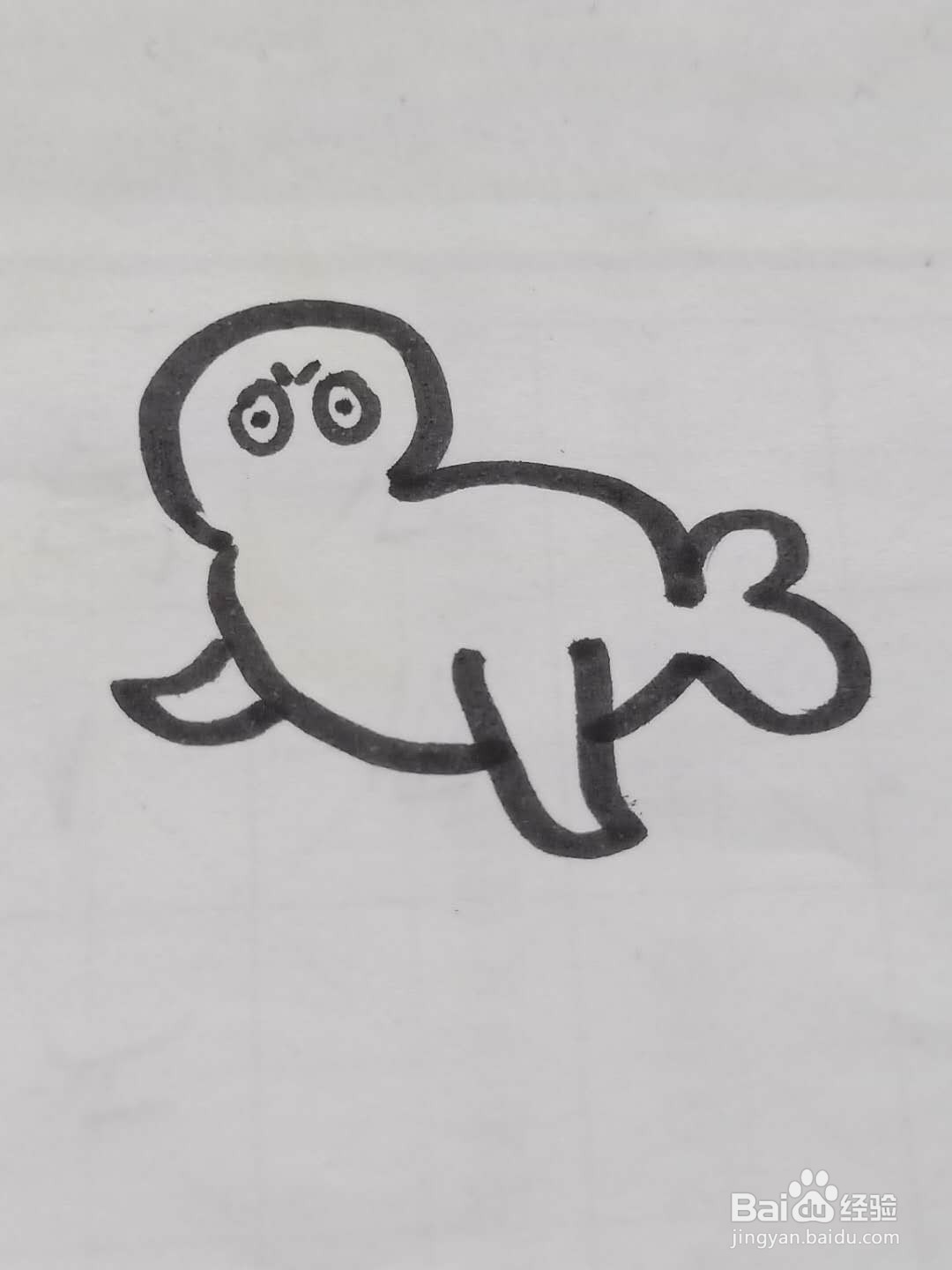怎样画海豹