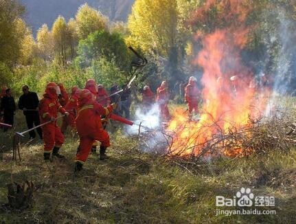清明节到了，去扫墓祭祖要注意什么？