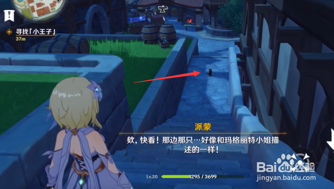寻找小王子的猫在哪里