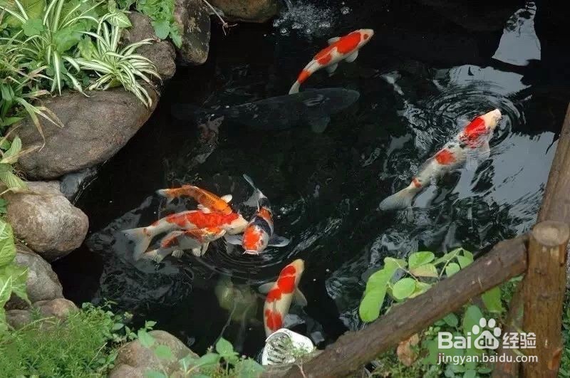 关于GMF的生物膜离子的分离技术