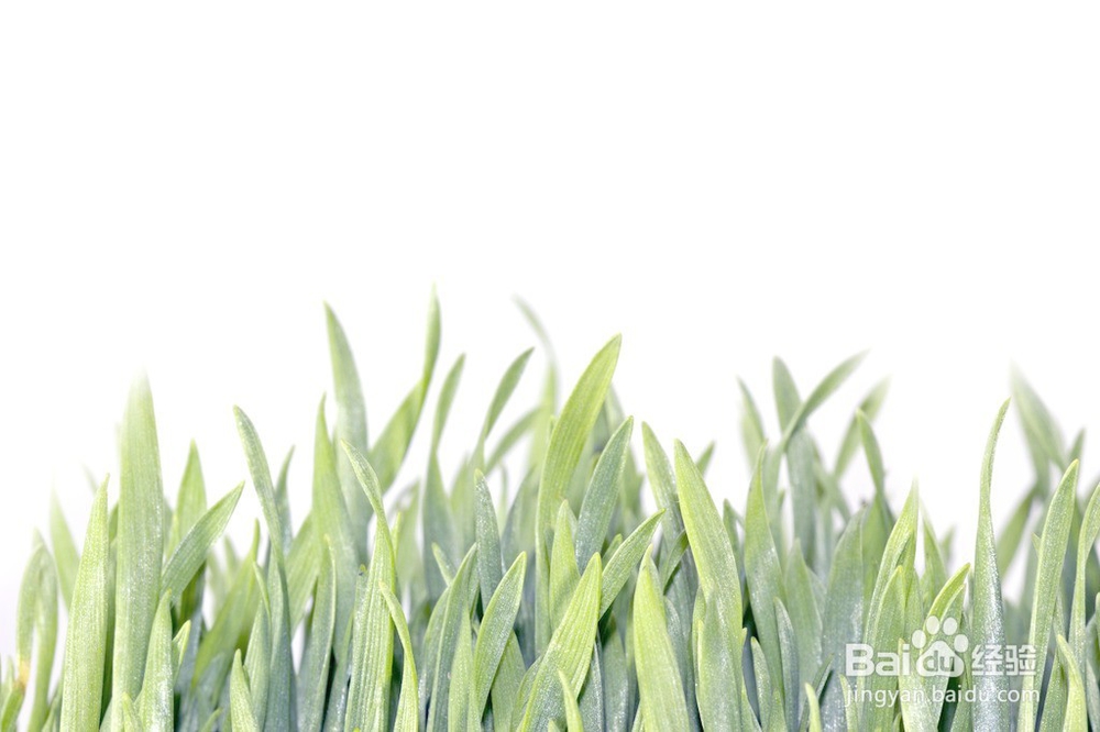 不会订立经济合同怎么办