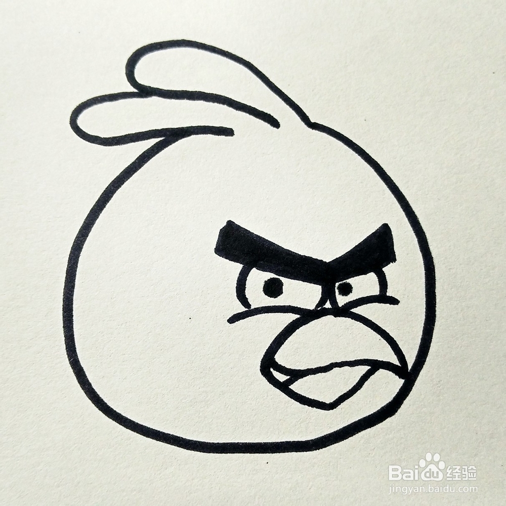 儿童简笔画：愤怒的小鸟