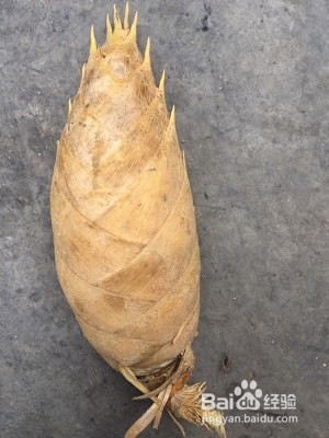 食补佳品竹笋炒肉的做法