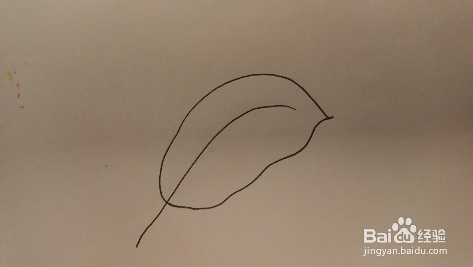 #经验分享官#黑白洞洞叶子简笔画