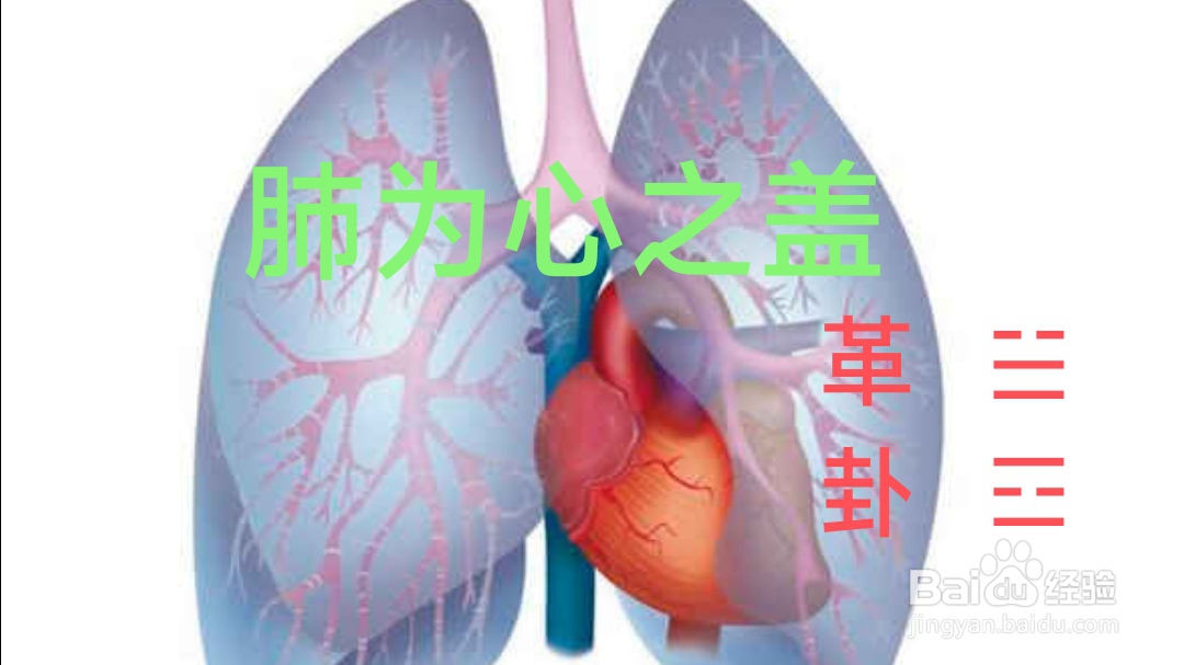 说话摇肩怎么调理