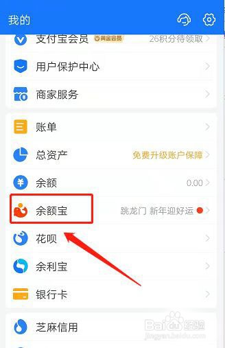 支付宝悄悄攒在哪里