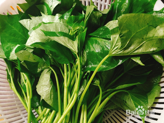 地瓜叶有什么好处?