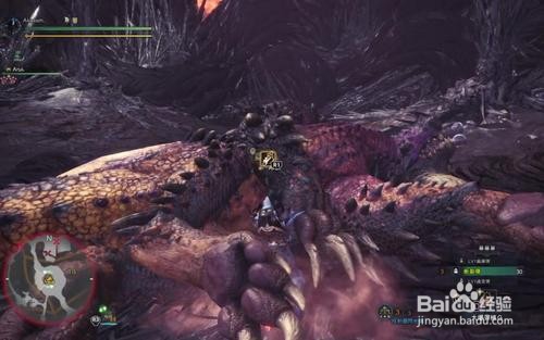 怪物猎人世界龙腰肉怎么获得