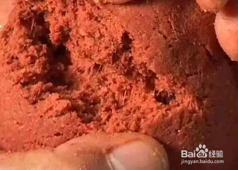 垂钓技巧 速成好拉饵