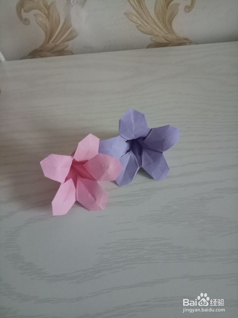 牵牛花折叠方法 下