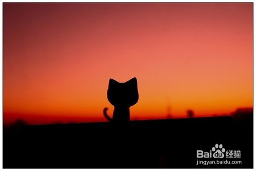 苦难让生命散发芳香