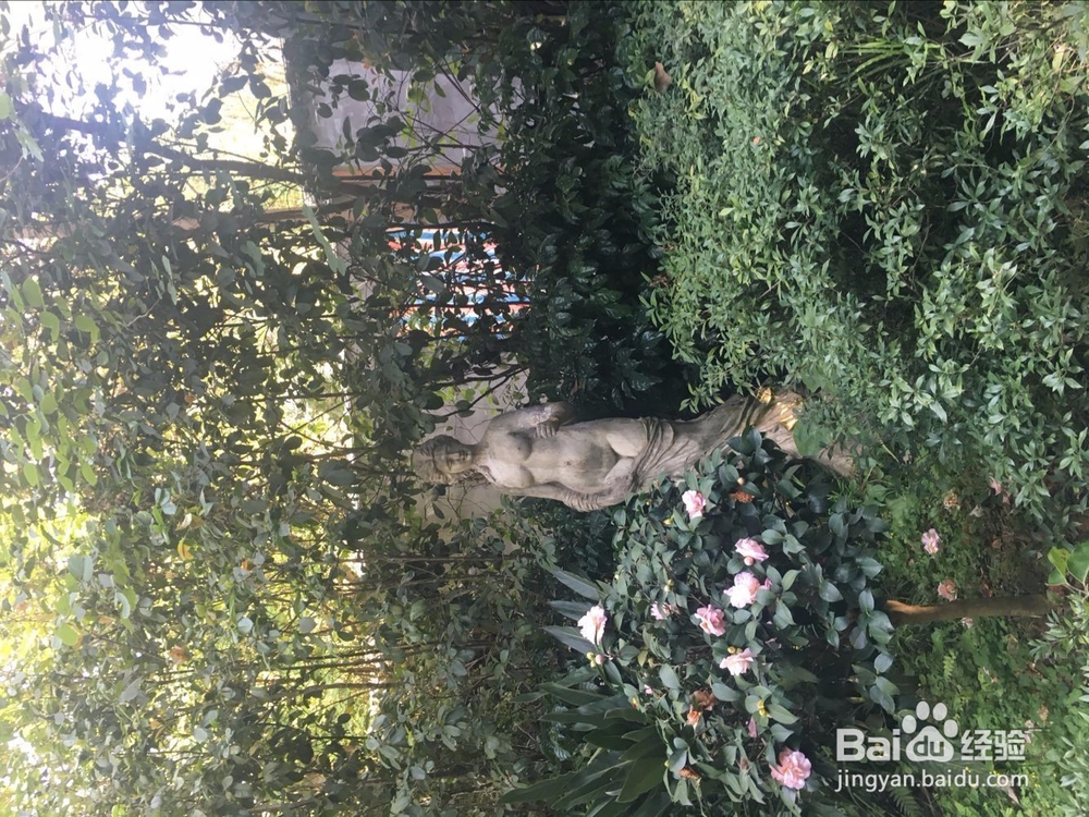 福州温泉公园花灯游