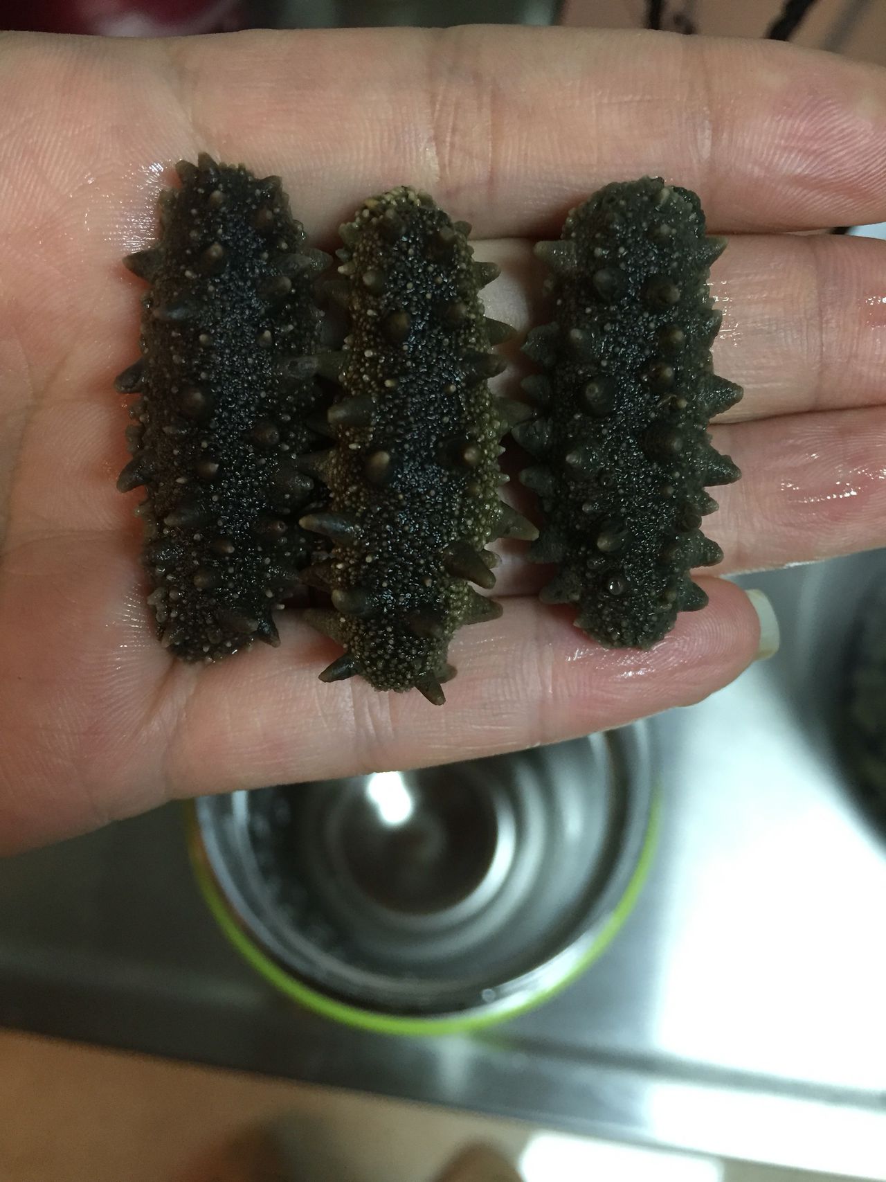 传统海参发制法，原料这么贵，一定要好好利用！